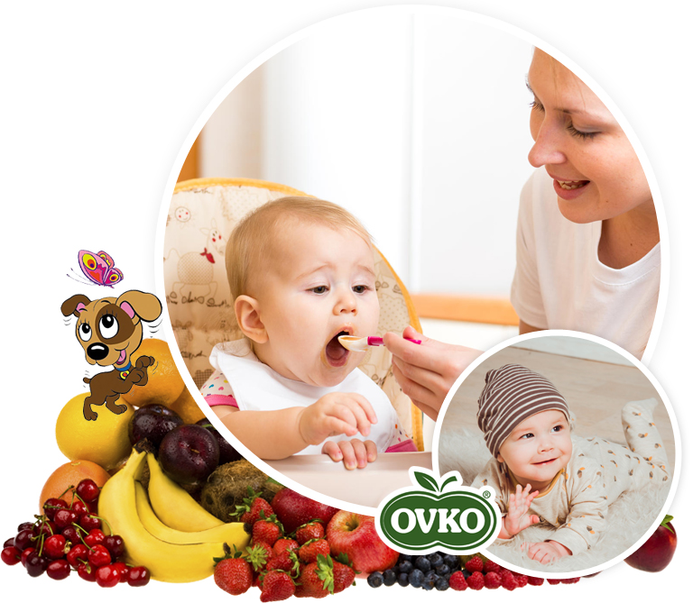 Az OVKO márka a magyar bébiétel és desszert piac harmadik legnagyobb résztvevőjévé nőtte ki magát.